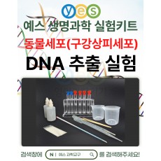 [1008] DNA 추출 실험 동물세포(구강상피세포) YES-D2